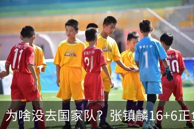 为啥没去国家队？张镇麟16+6正负值全场最高隔扣深圳大外点燃现场