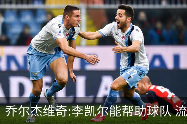 乔尔杰维奇:李凯尔能帮助球队 流程要去问篮协