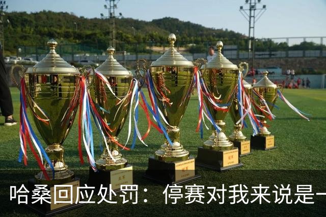哈桑回应处罚：停赛对我来说是一种荣誉，未来一切交给真主