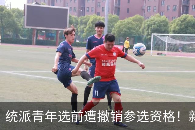 统派青年选前遭撤销参选资格！新党主席吴成典率律师团声援游智彬